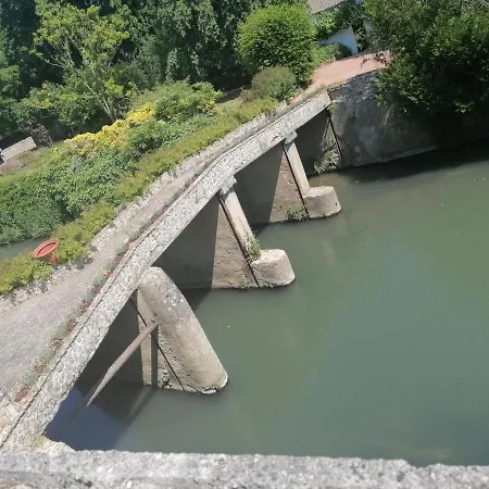 Les Petunias Mouroux